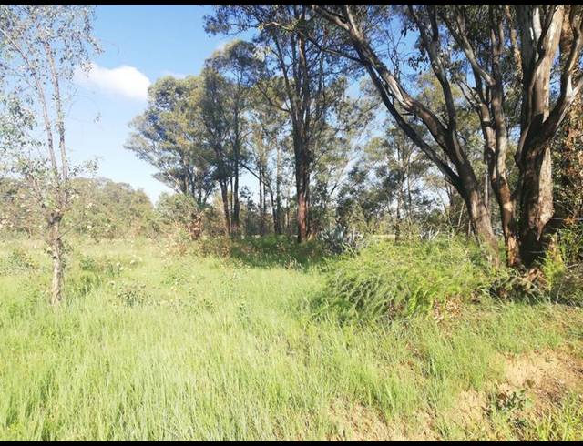 FARM FOR SALE IN DE DEUR ESTATES